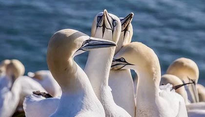 湖人关键时刻13连胜！41岁詹姆斯30+8+8无人能敌|勒布朗·詹姆斯|季后赛|微博|洛杉矶湖人队|勒布朗-詹姆斯_新浪体育_新浪新闻